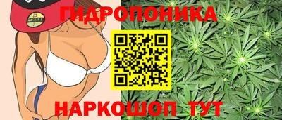 хмурый Жуковский