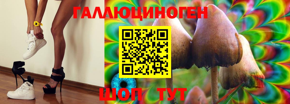 Галлюциногенные грибы MAGIC MUSHROOMS Фролово